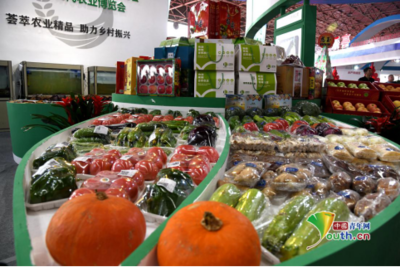 第九屆唐山農(nóng)產(chǎn)品展示交易會(huì)暨樂(lè)亭現(xiàn)代農(nóng)業(yè)博覽會(huì)開幕，聚焦畜產(chǎn)品購(gòu)銷貿(mào)易