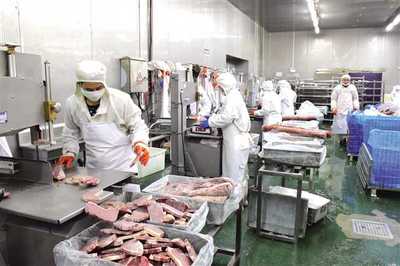 豐都構(gòu)建“三大體系”打通發(fā)展瓶頸，以“三步走”探索食品及農(nóng)產(chǎn)品加工高質(zhì)量發(fā)展新路徑