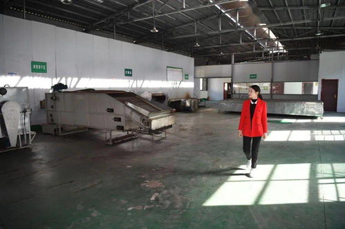 一片茶葉，萬千氣象——新華社關注平利以茶飲產業引領鄉村振興新實踐