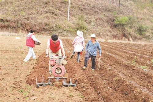 助農小分隊田間行，農事繁忙展新顏