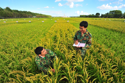 北大荒 青春好年華 蓄勢再揚帆——寫在黑龍江墾區(qū)開發(fā)建設(shè)七十周年之際
