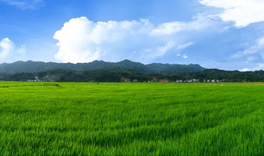 宜春吹響加快富硒產(chǎn)業(yè)發(fā)展集結(jié)號(hào)